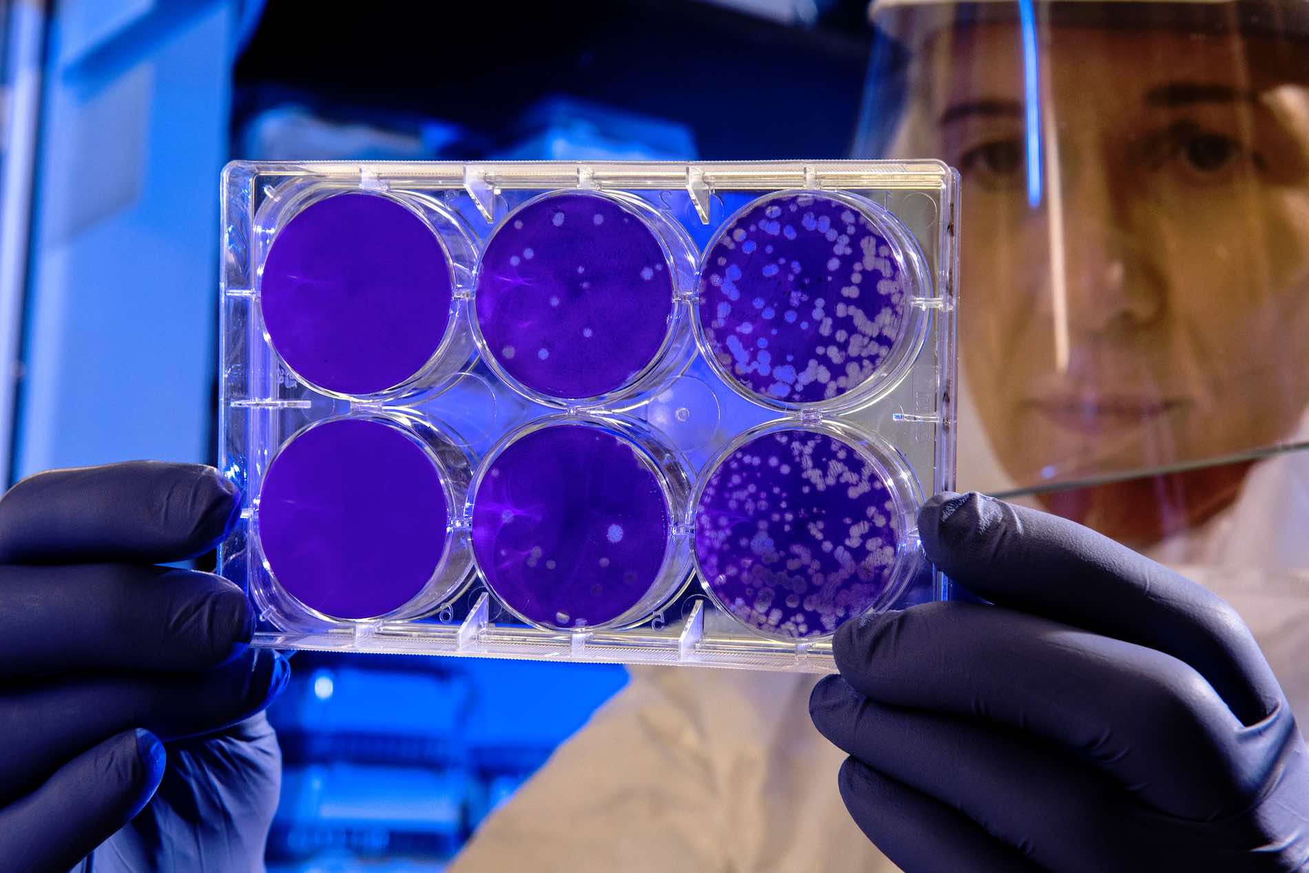 estrategia digital frente al coronavirus