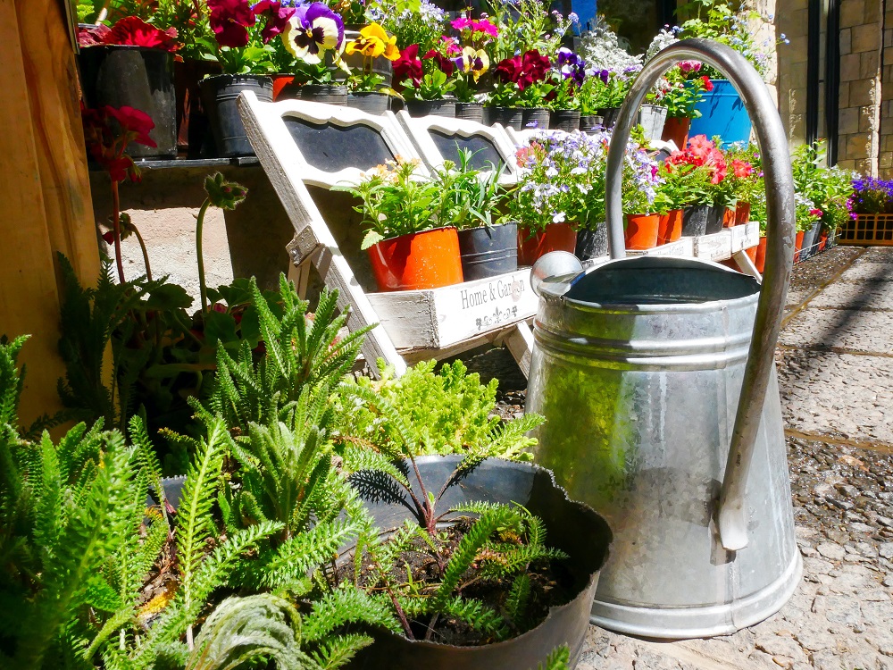 Tienda de jardinería sostenible